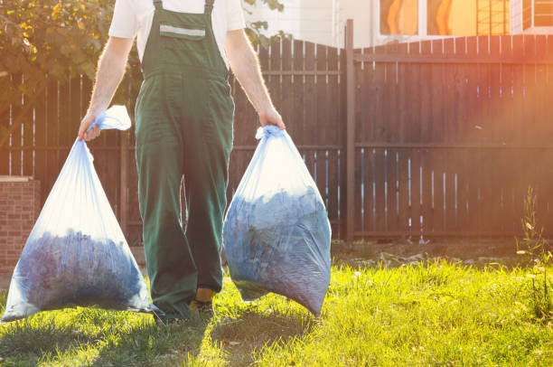 Best Shed Removal  in Washington, IA